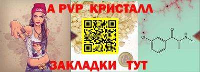 кокс Донской