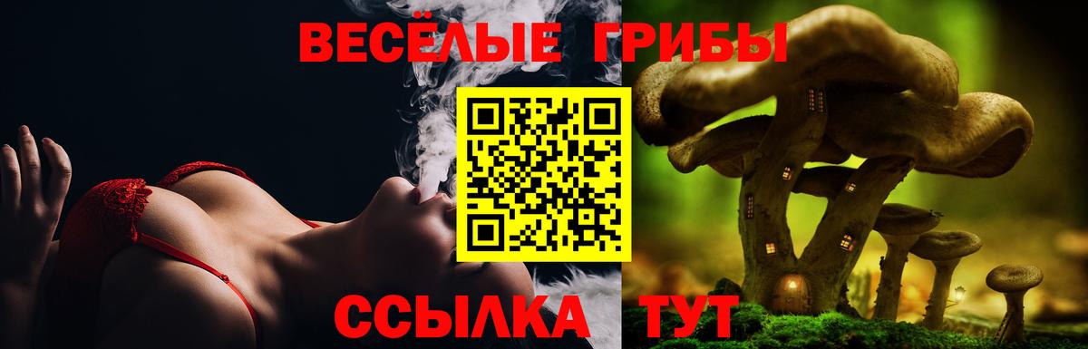 Псилоцибиновые грибы мухоморы Луховицы